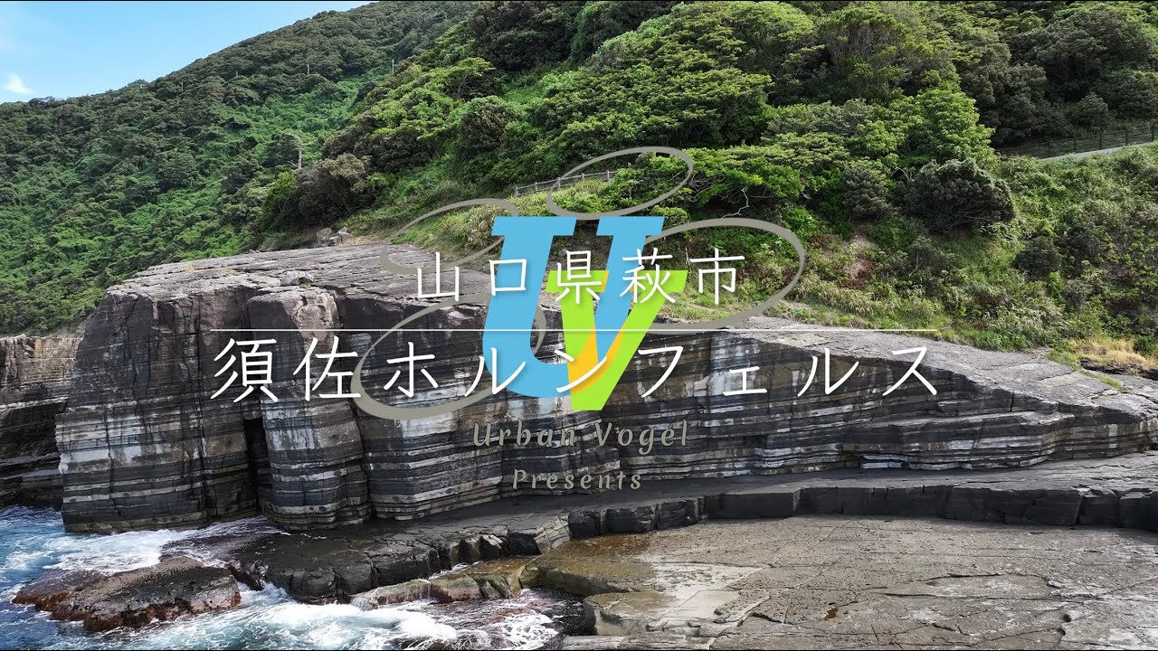 #145 山口県 須佐ホルンフェルスSusa Hornfels/Yamaguchi pref.