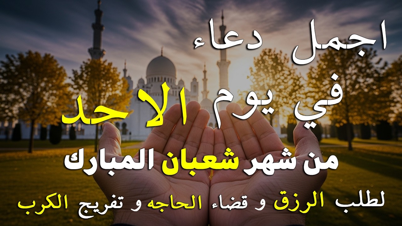 دعاء فى يوم الاربعاء المستجاب دعاء يوم 16 من شهر شعبان للرزق والشفاء العاجل وقضاء الحوائج 🤲(4k)