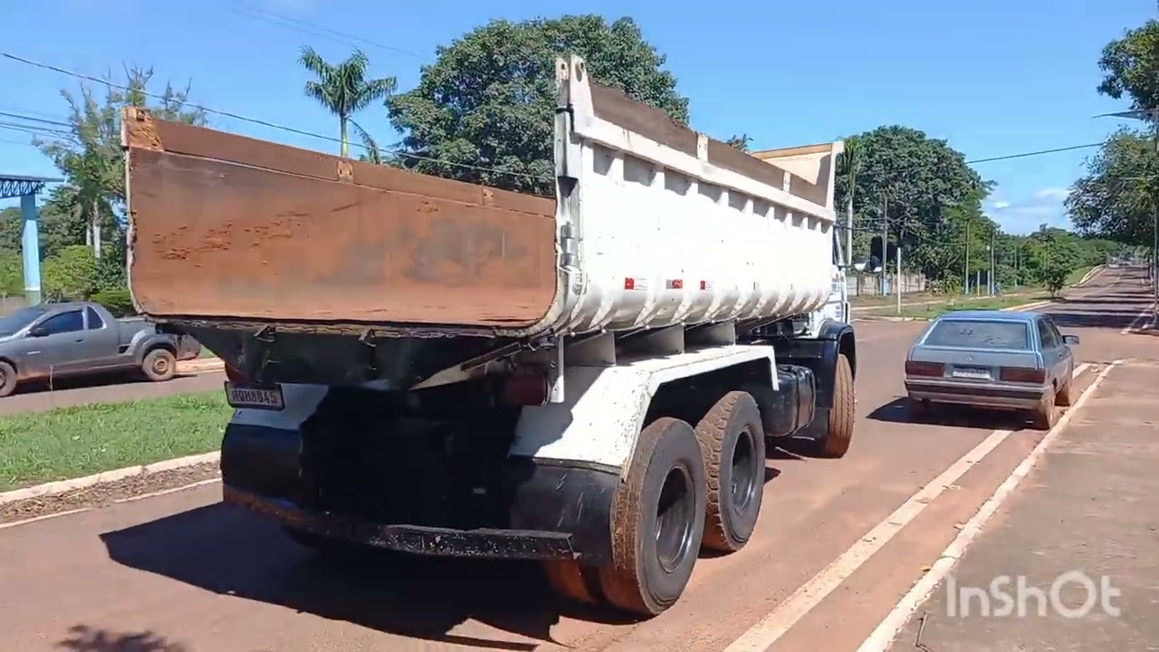 Vendaval derruba árvore centenaria em cima da casa de um senhor de 87  ninguém se feriu