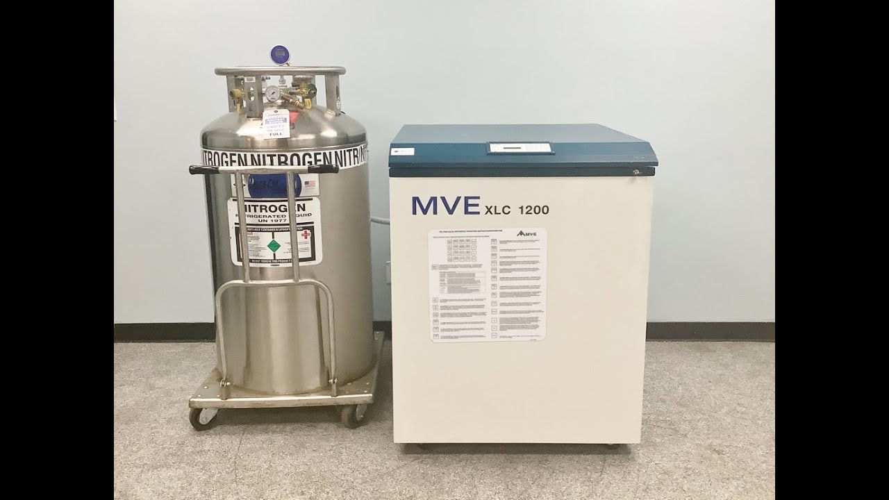 MVE XLC 1200 Liquid Nitrogen Freezer Video ID 26725