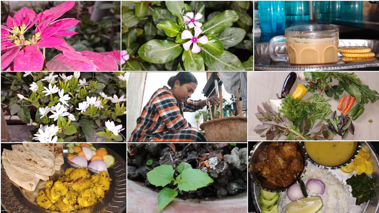 Sunday Morning routine⏰ভোর 05:00 a.m - 15:00 পর্যন্ত puja+breakfast+lunch+plant care সব কাজ করলাম 