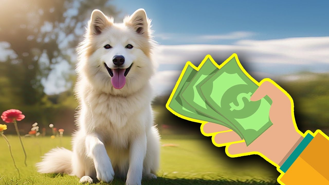 Quais os custos do tratamento de Leishmaniose em Cães? | Dr. Edgard Gomes | Alimentação natural Cães