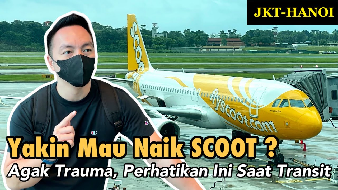 SCOOT Airlines Jakarta to Hanoi | Prosedur Transit di Singapore