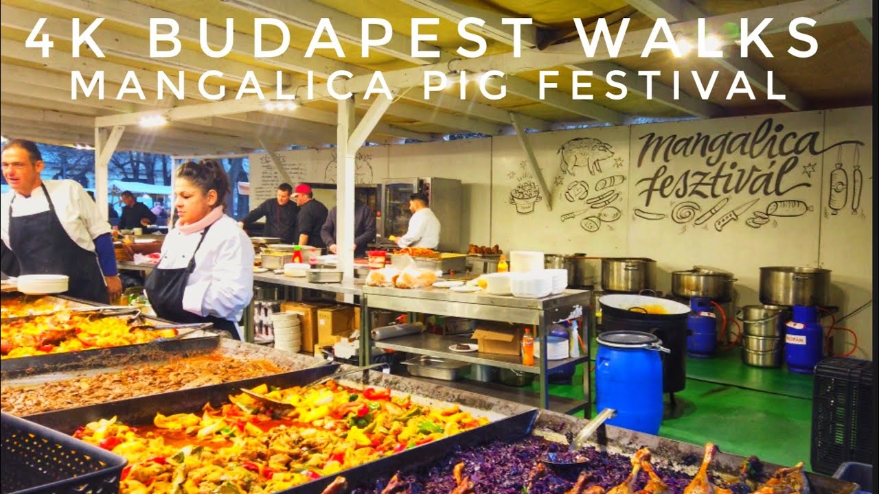 4K Budapest Walks 🇭🇺 Exploring the Mangalica Pig Food Festival - For Lovers of All Things Pork.