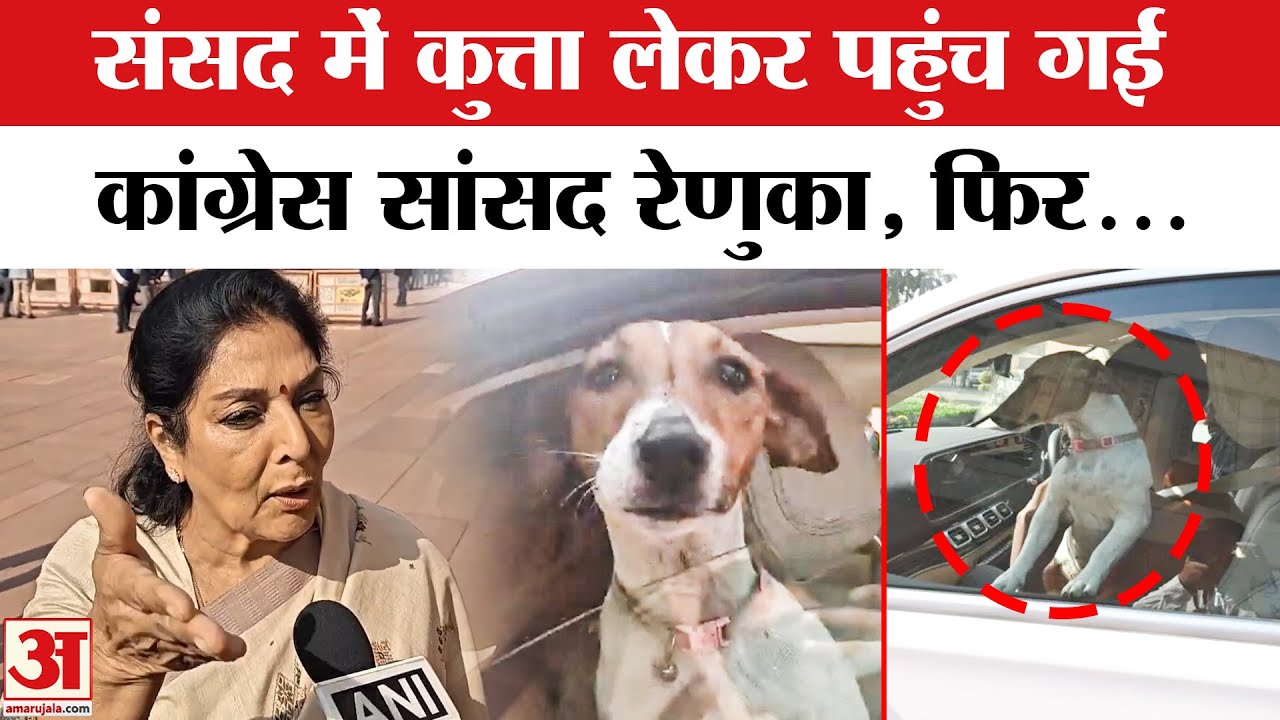 Parliament Winter Session: Congress सांसद कुत्ता लेकर पहुंची संसद, फिर...  | Renuka Chowdhury Dog