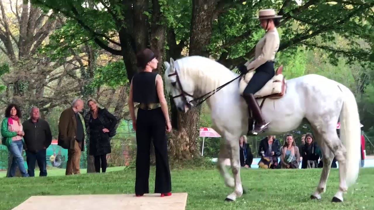 Rahel Schr&ouml;der - Auftritt Klassische Dressur und Flamenco - www.dressur-und-reitkunst.de - M&uuml;nchen
