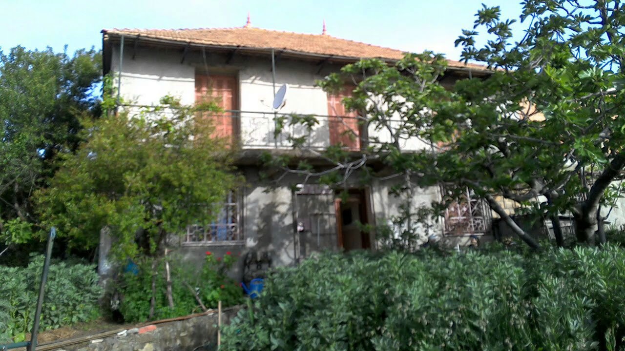 Tamourt alma guechtoum naît felik