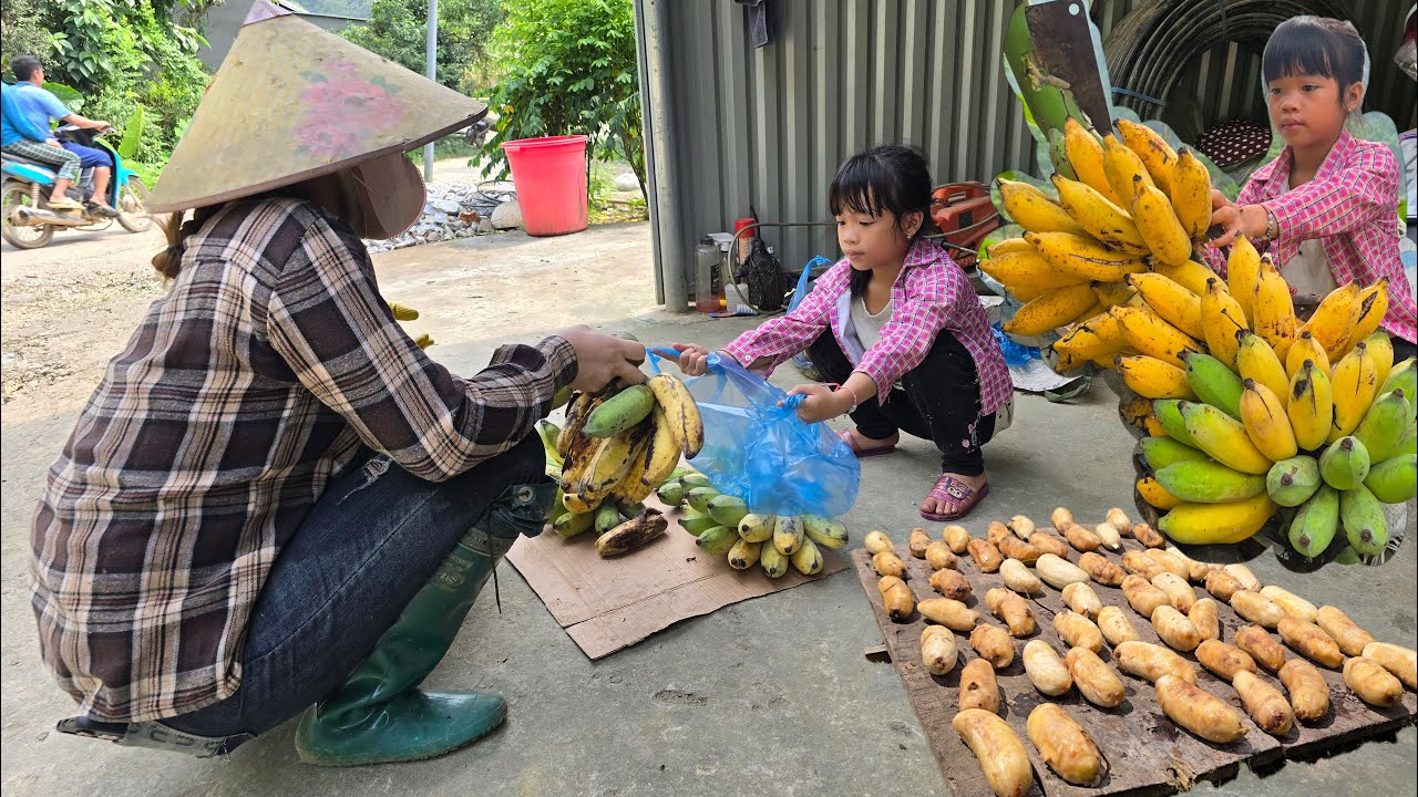 Country Market Corner – Friendship in Banana Selling Session