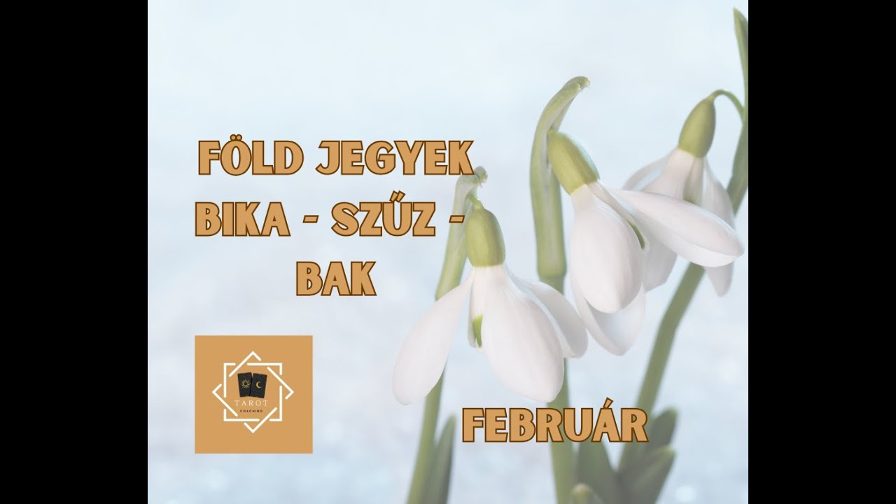 🌱 Föld jegyek februári energiái (Bika ♉ Szűz ♍ Bak ♑) 🔮✨