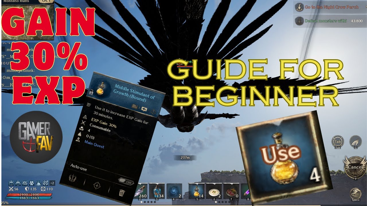 Beginner Guide | Exp Potion 30% Gain