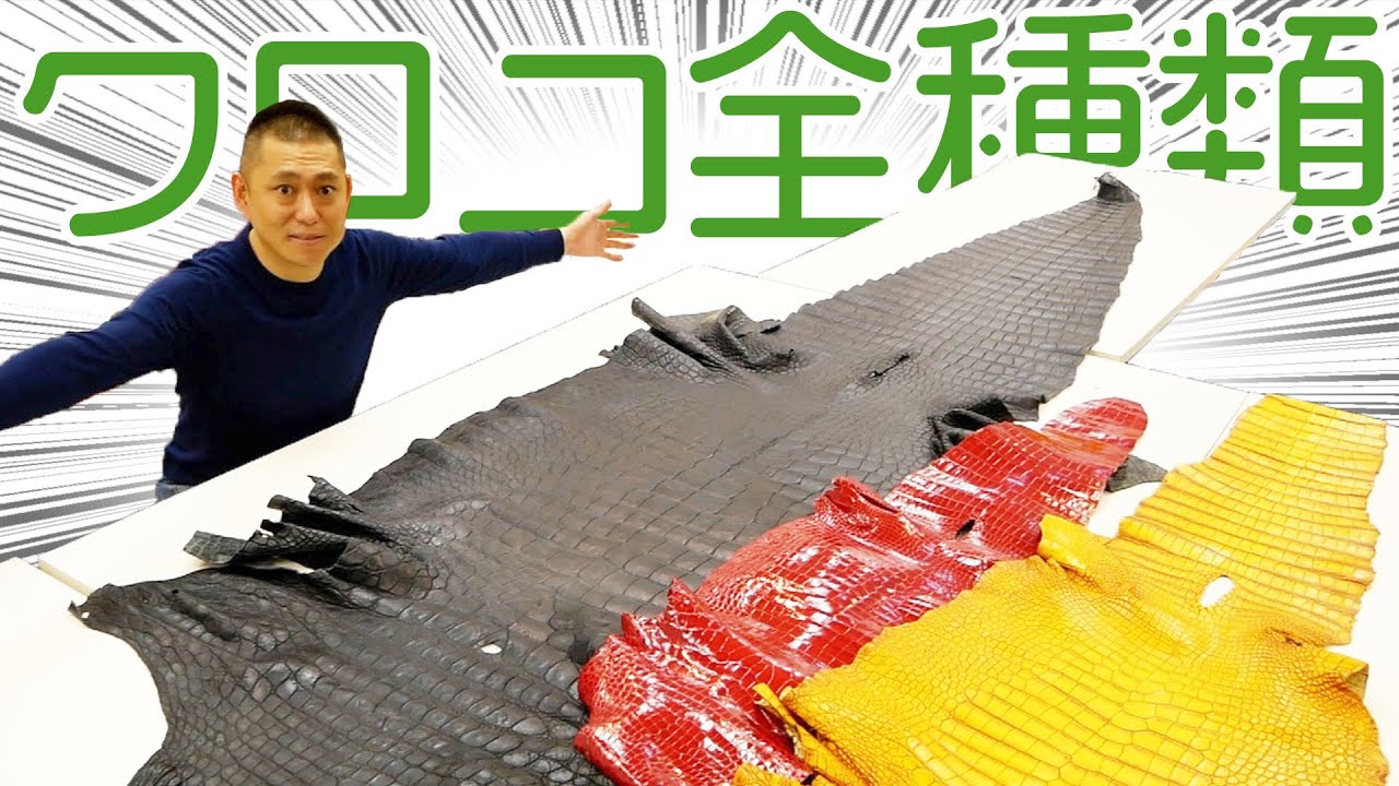 【本物】クロコダイルの革全種類を大公開！！