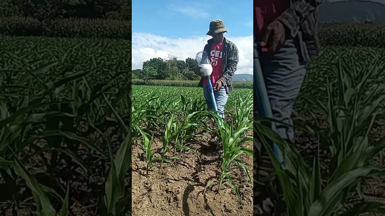 homemade fertilizer applicator for corn.
