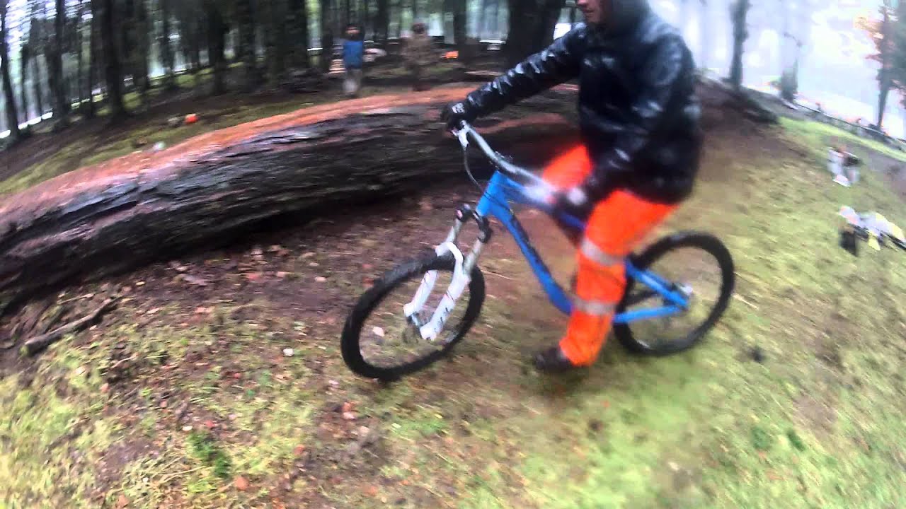 giant reing 6.0 2010