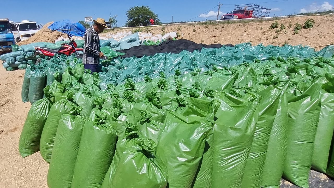 Feira da ração porteiras em capoeira-Pe 13-03-2026 ração baixando 