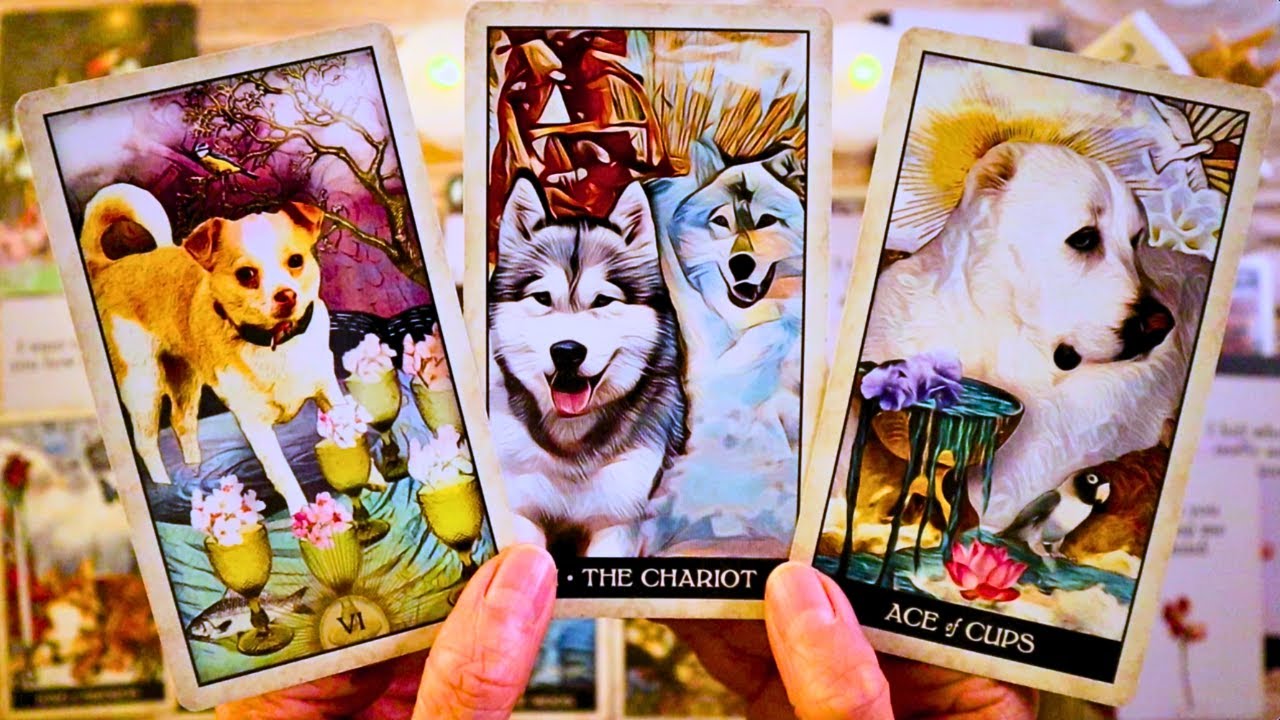 AN UNEXPECTED, EMOTIONAL CONVERSATION!! 😲☎️💌 LOVE TAROT READING