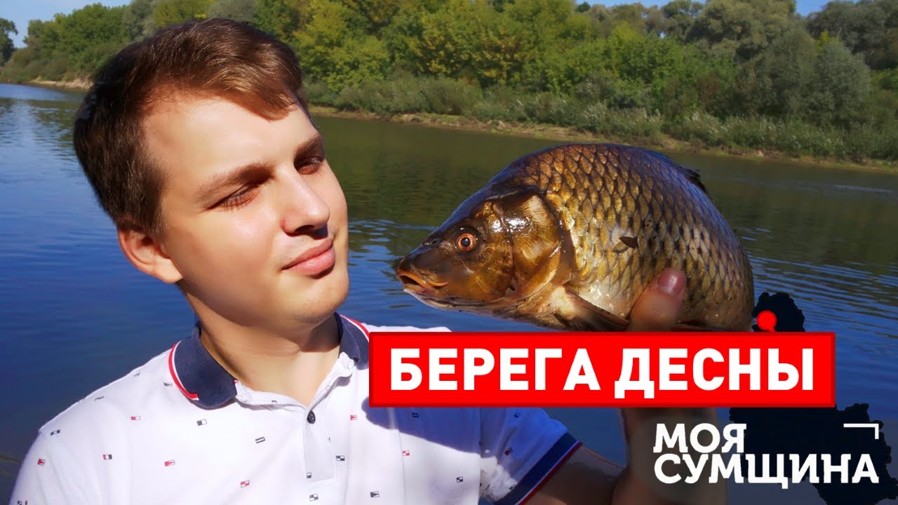 Берега Десны - Моя Сумщина (выпуск 12)