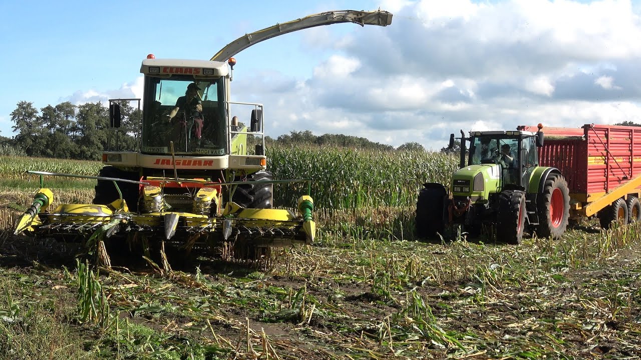 Loonbedrijf Mollink aan het mais hakselen met een Claas Jaguar 860 en 2 Claas Ares trekkers (2023)
