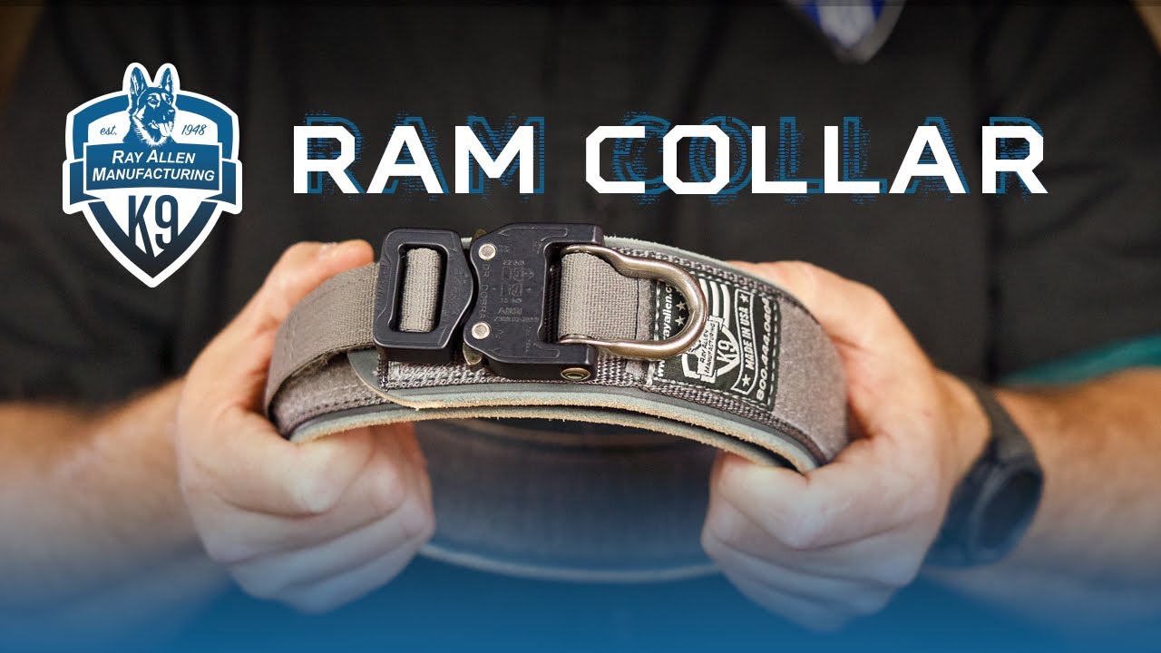 Leather and Nylon Agitation Dog Collar Review - RAM Collar