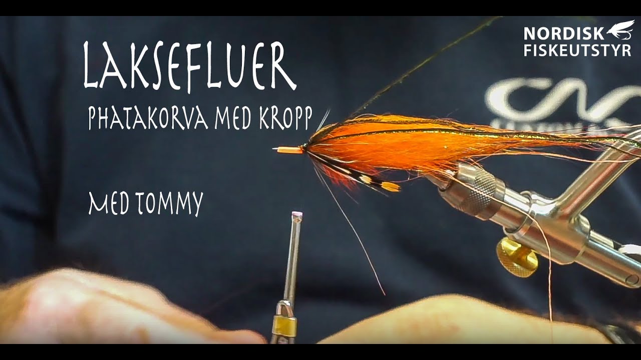 Phatakorva med kropp