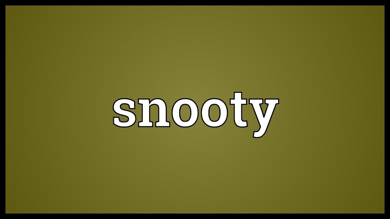 Snooty Meaning