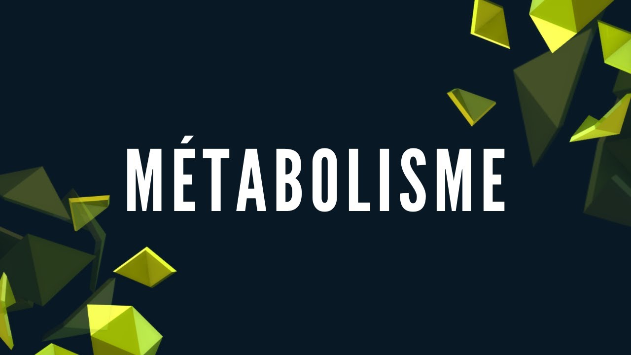 Métabolisme des Glucides : Glycolyse