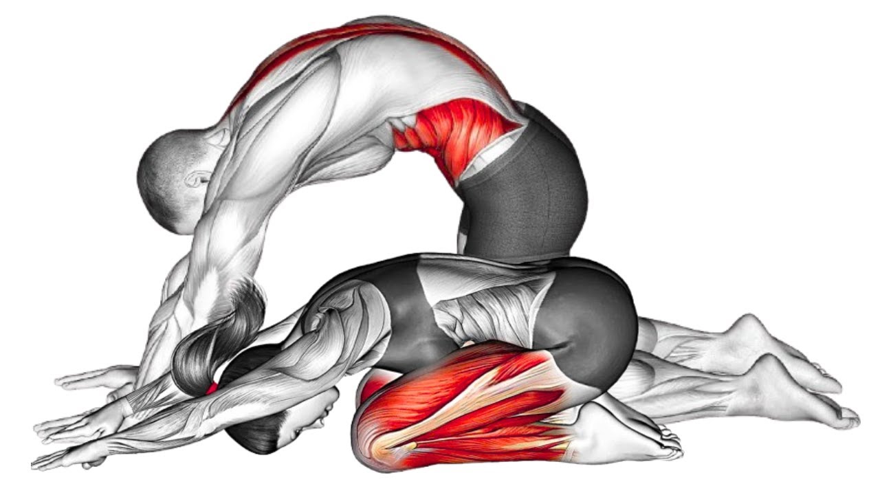 Best Pelvic Stretch Routine for Men and Women