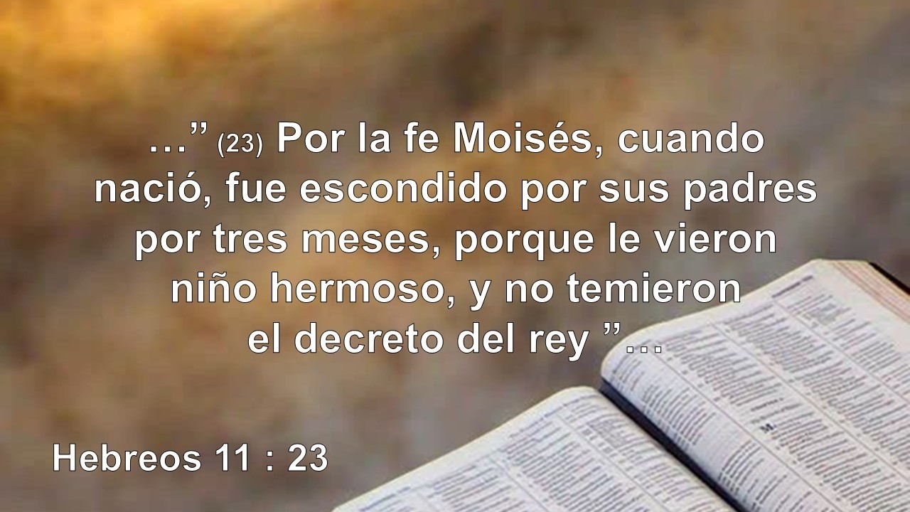 Doctrinas bíblicas básicas | La fe de Moisés | Parte XI | Pastor Miguel Vergel