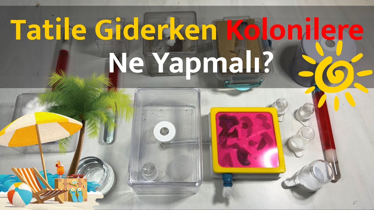 Tatile Giderken Kolonilere Ne Yapmalı?
