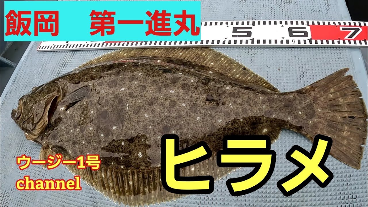飯岡漁港第一進丸さんでヒラメ釣り