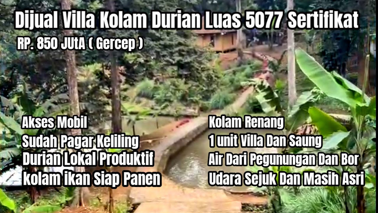 DIJUAL CEPAT VILLA KOLAM DURIAN LUAS 5077 , SERTIFIKAT, SUDAH DI PAGAR , HARGA 850 JUTA ( GERCEP )