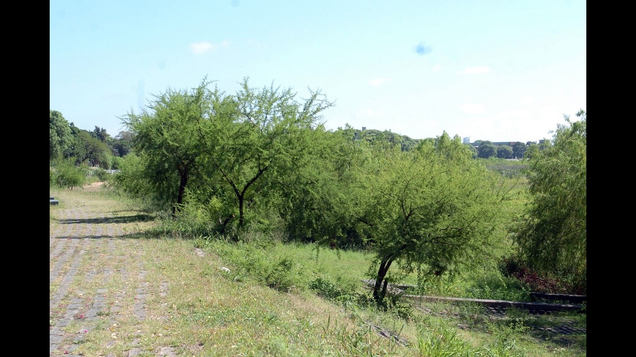 La Municipalidad realizará trabajos de mantenimiento en el talud de la Costanera Oeste