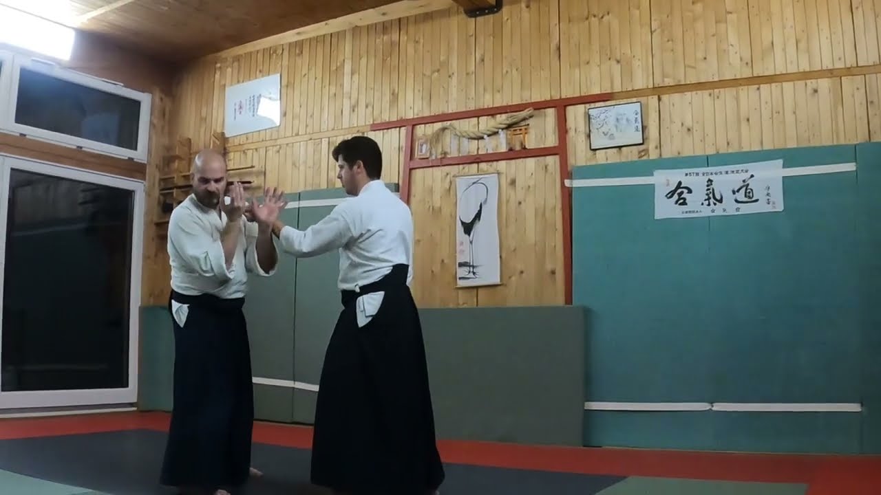 [AIKIDO] Gyaku hanmi katate dori - Irimi nage (2023)