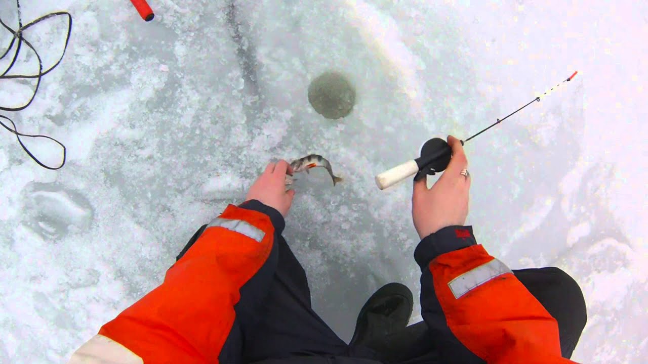 28.02.15 Окунь, Ладога.