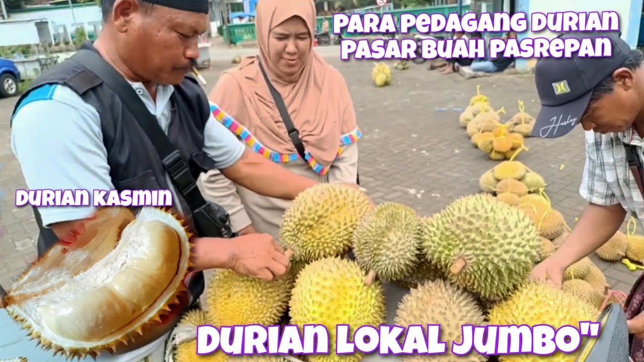 LIHAT PENJUAL DURIAN BORONG DURIAN KASMIN LARON SIKARIM DURIAN LOKAL YG BESAR