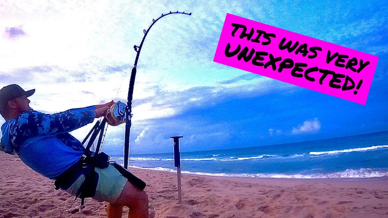 We Did Not Expect THIS FISH!!! | Land Based Shark Fishing (LBSF)