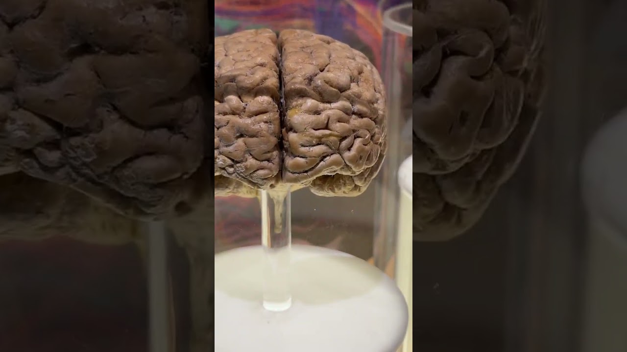 Museum of Science in Boston 