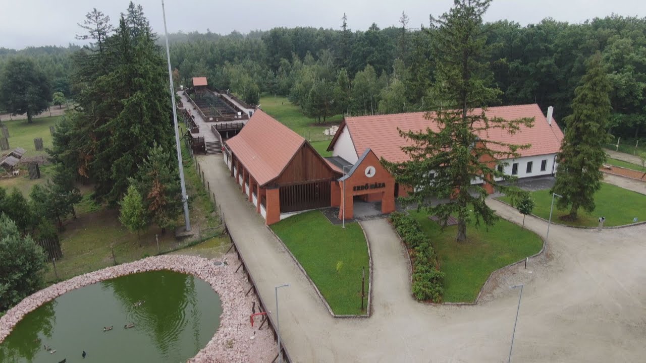 M5 TV – Erdő Háza és Vadaspark a Soproni-hegységben – 2024/24. adás – 2024.06.16.