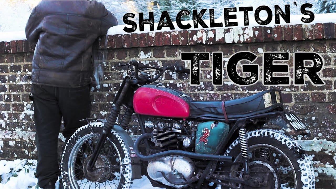 A Coleman Customs Christmas | Shackleton's Tiger