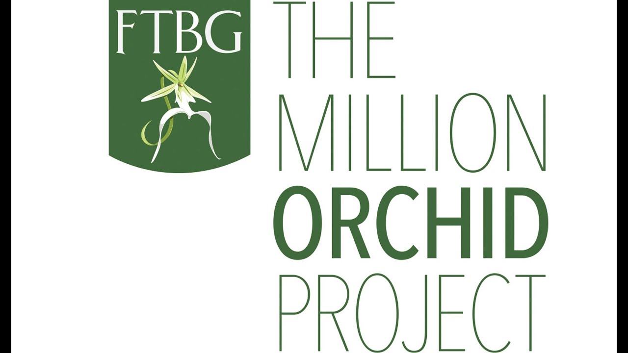 Help boost endangered plant populations through the Million Orchid Project