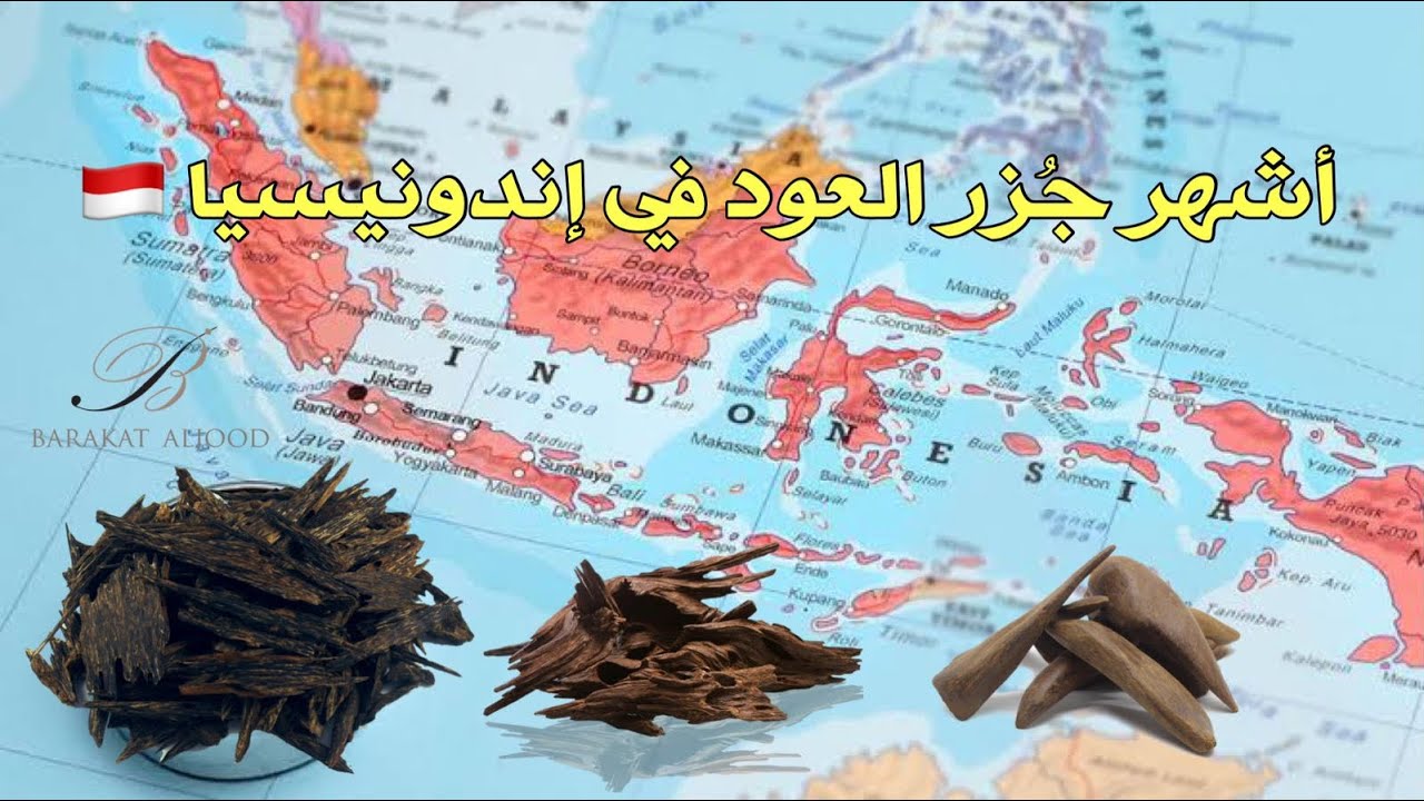 أشهر جُزر العود في اندونيسيا-سلسلة عالم العود ( الحلقة4)