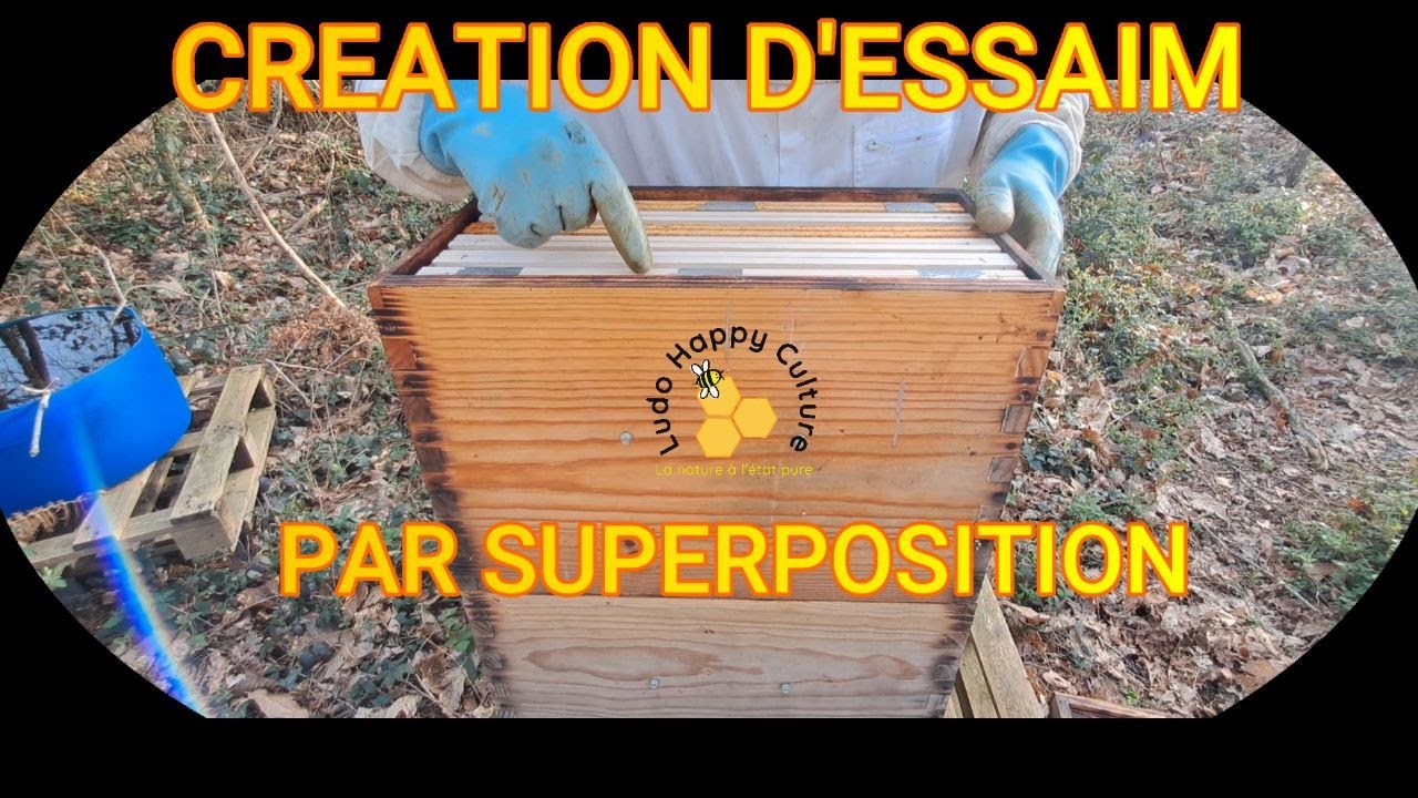 S2 Episode 7: Multiplication des colonies (partie 2) La superposition ...