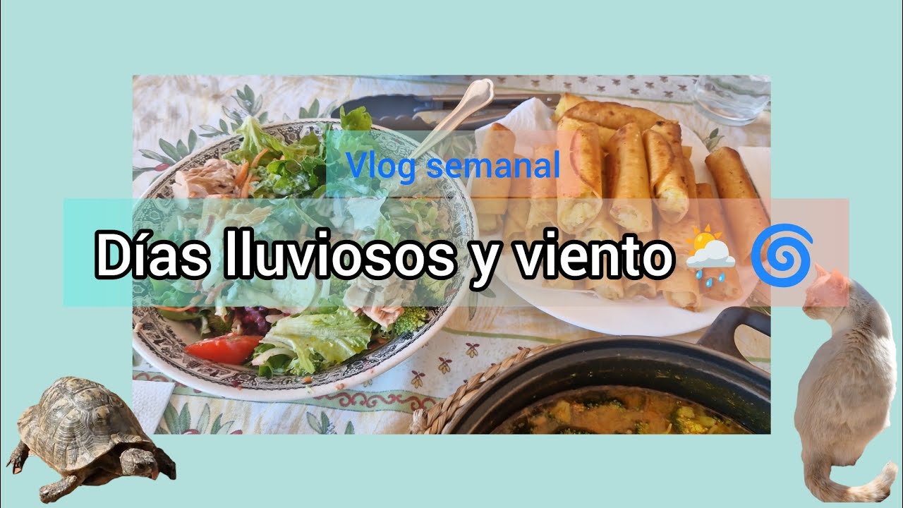 Vlog real: clima en Alicante + recetas + vida en casa y nuevos planes” 