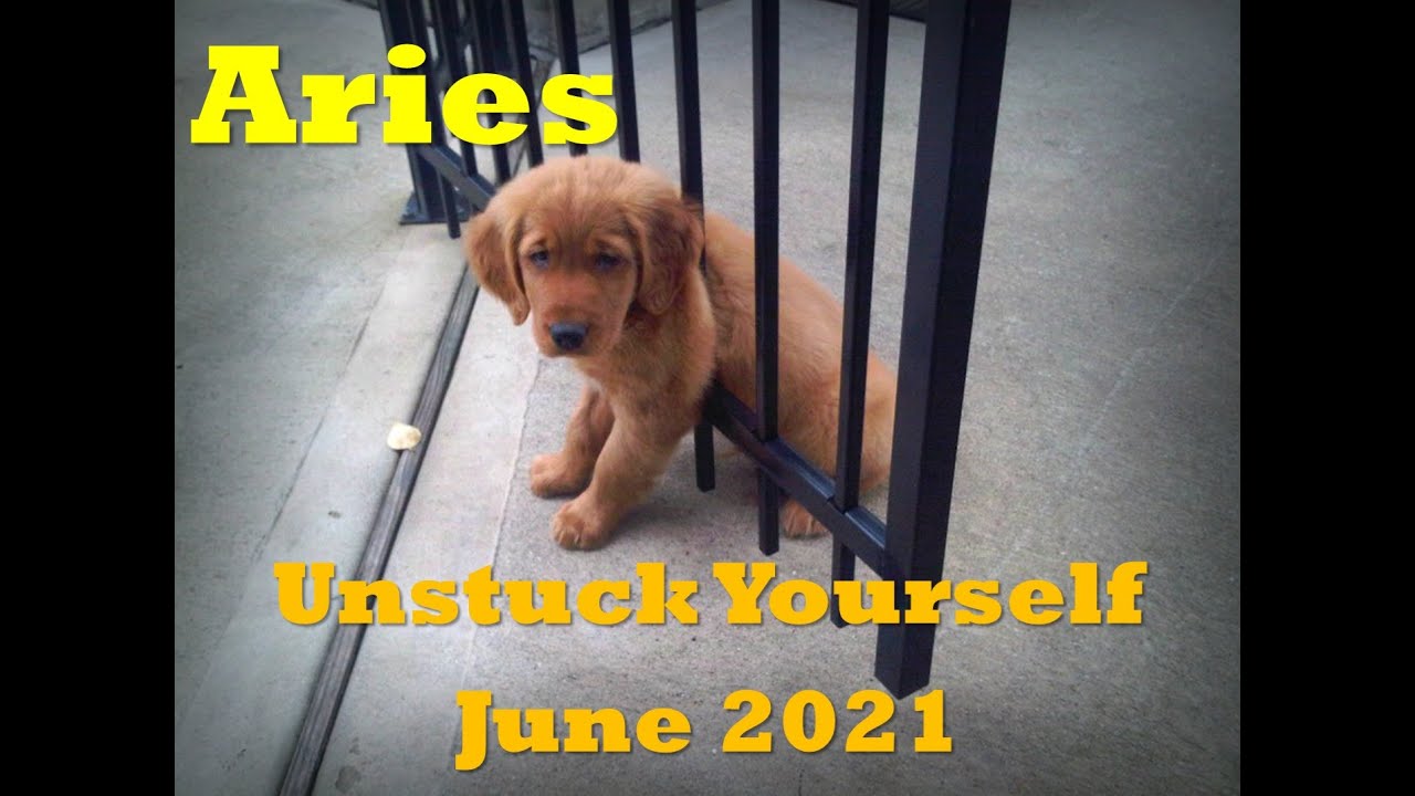 Aries *Unstuck Yourself * June 2021