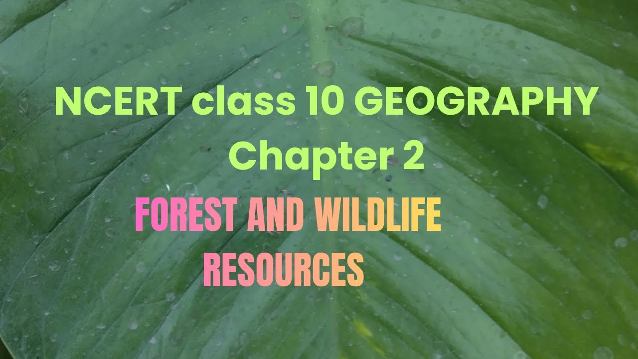 NCERT GEOGRAPHY CLASS 10 CHAPTER 2 FOREST AND WILDLIFE RESOURCES