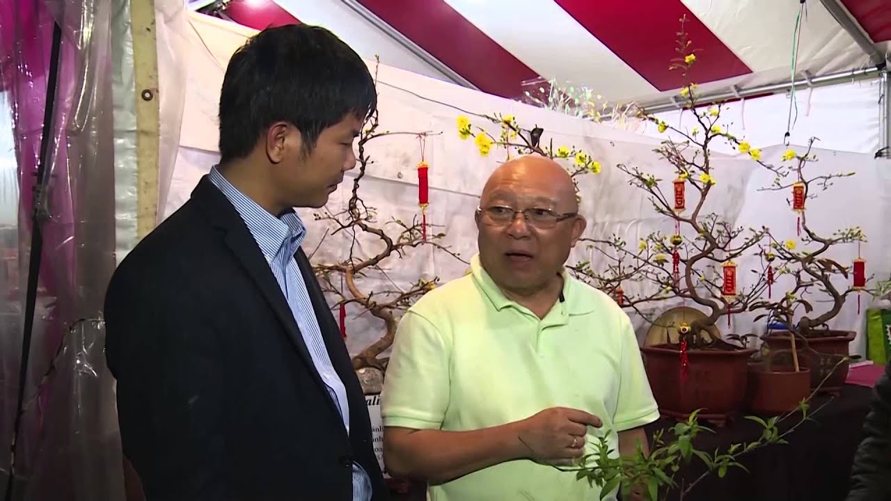 Tết người Việt tại Mỹ - VTV4