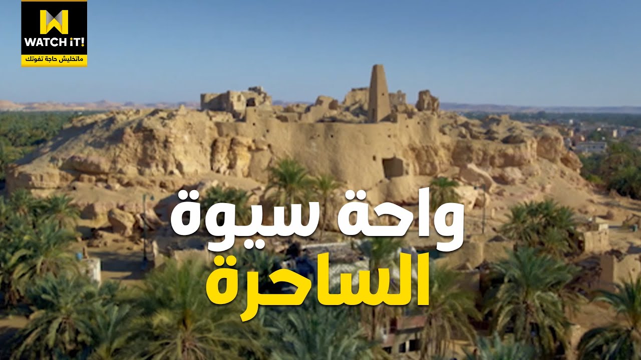 قصة واحة سيوة الساحرة ❤️🇪🇬
