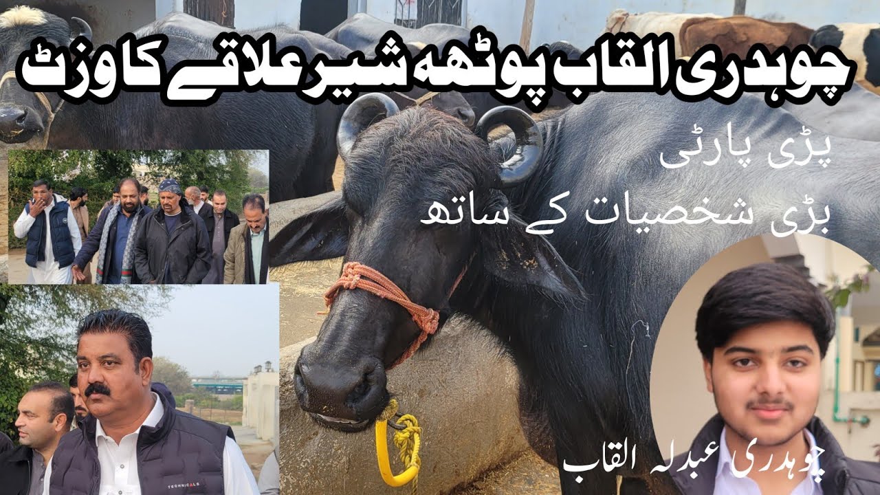 پوٹھہ شیر علاقے کا وزٹ کیا 