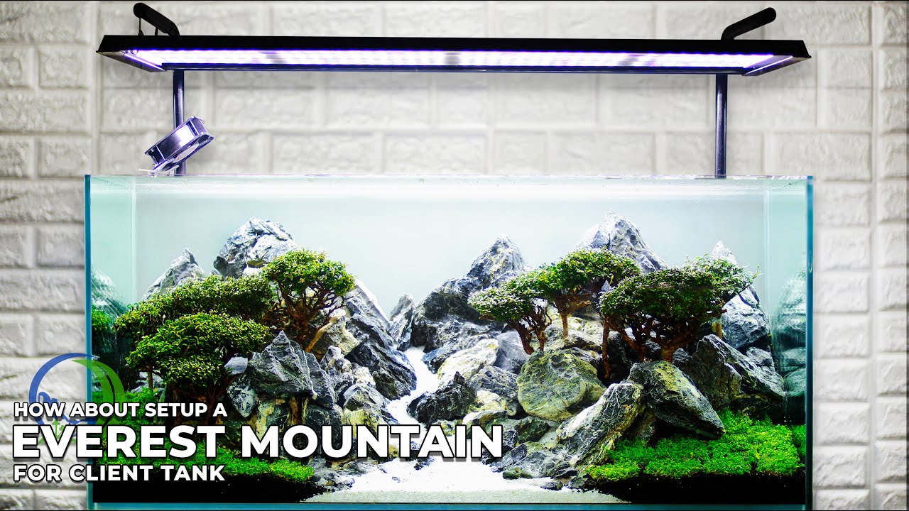 MOUNTAIN LANDSCAPE AQUASCAPE