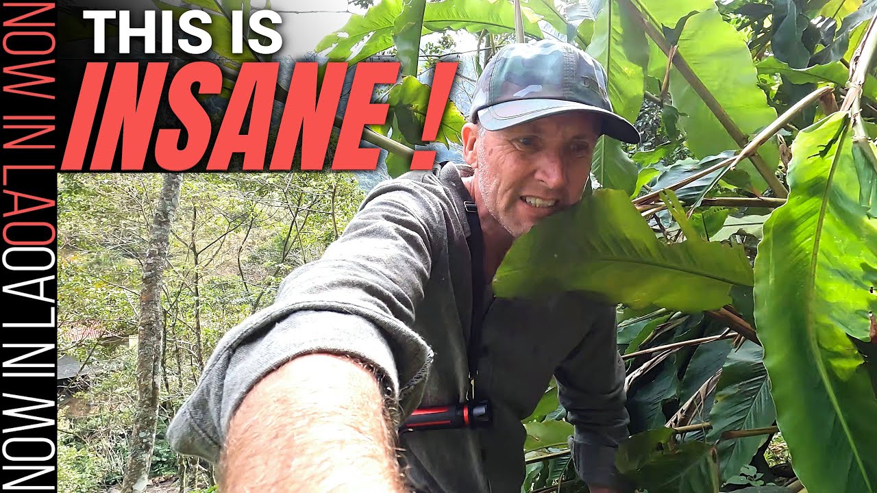 We Found a Munitions Cave that Supplied the Ho Chi Minh Trail During SECRET WAR |  Back Roads E12
