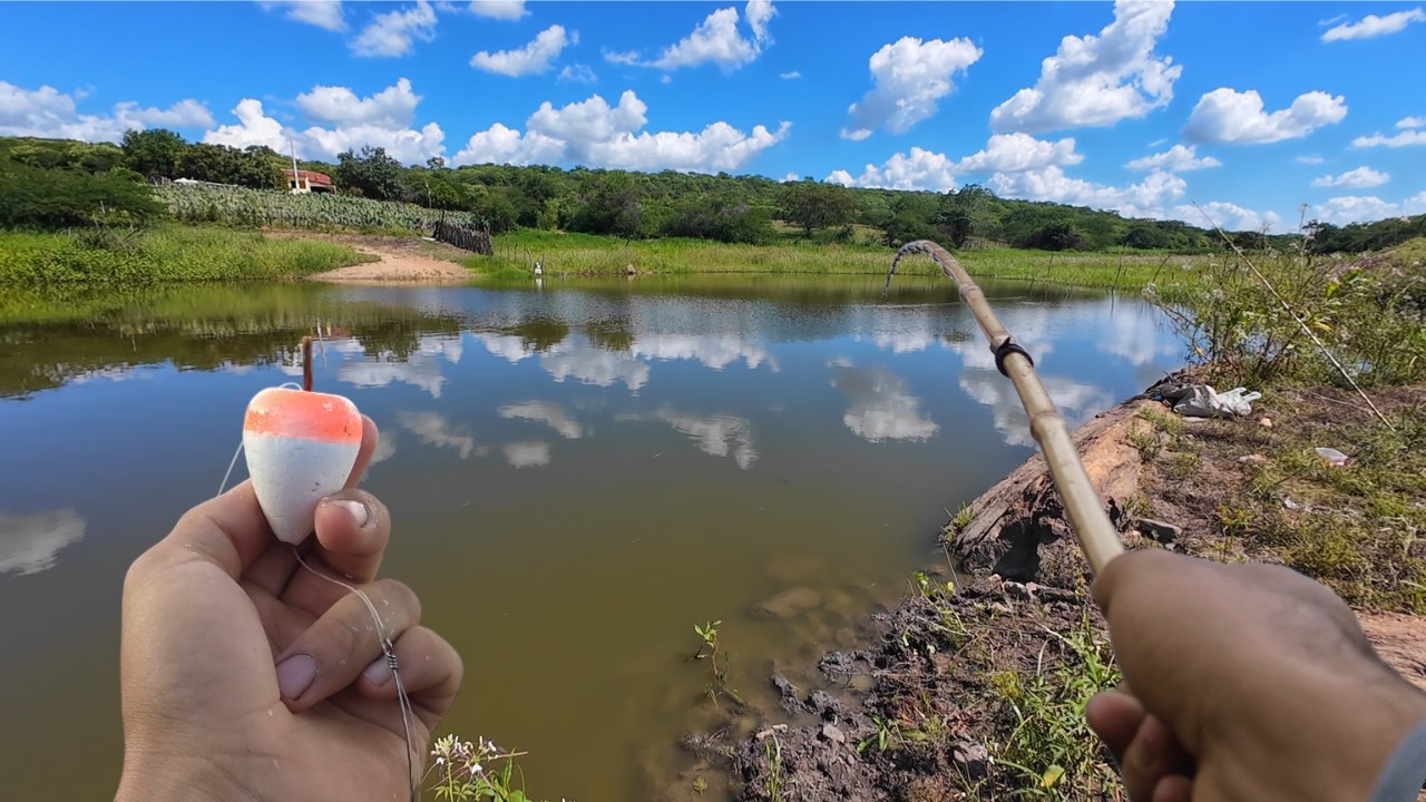 PESCARIA CAIPIRA NA REPRESA INFESTADA DE TILAPIAS BRUTAS pescaria de tilapia